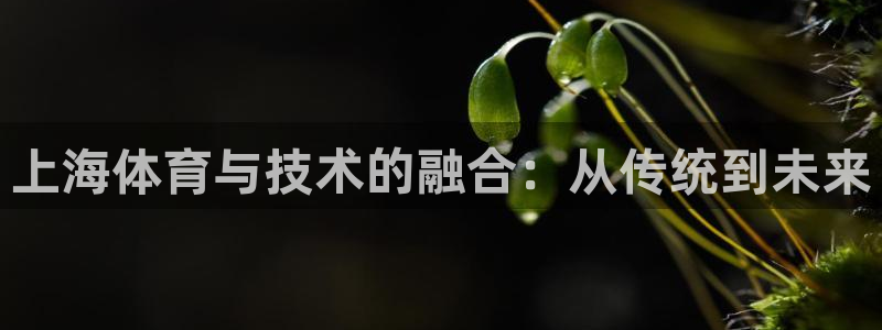 三亿体育