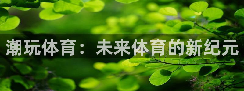 三亿体育网