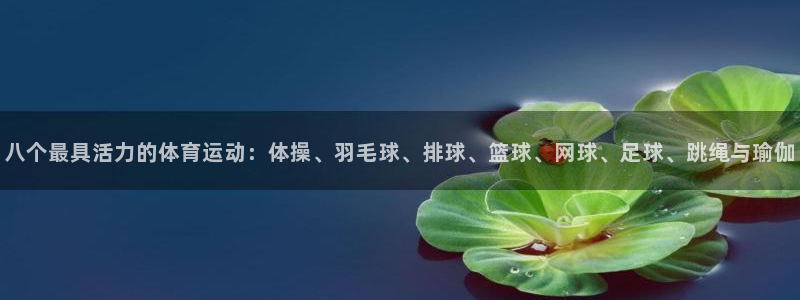 三亿体育登录：八个最具活力的体育运动：体操、羽毛球、排球、篮球、网球、足球、跳绳与瑜伽