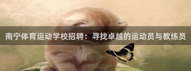 三亿体育：南宁体育运动学校招聘：寻找卓越的运动员与教练员
